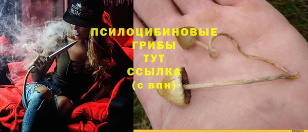 ECSTASY Бородино