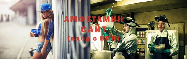 ECSTASY Бородино
