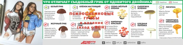 ECSTASY Бородино