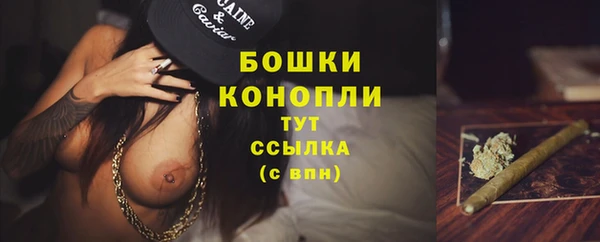 ECSTASY Бородино