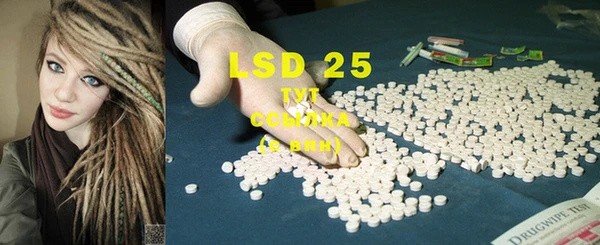 ECSTASY Бородино