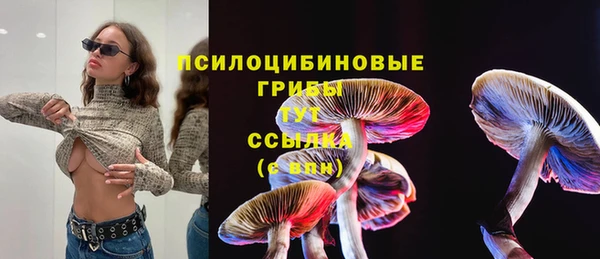 молекула духа Бугульма