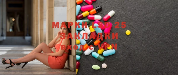ECSTASY Бородино