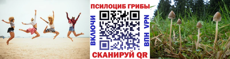 Купить где  Белово  Псилоцибиновые грибы прущие грибы 